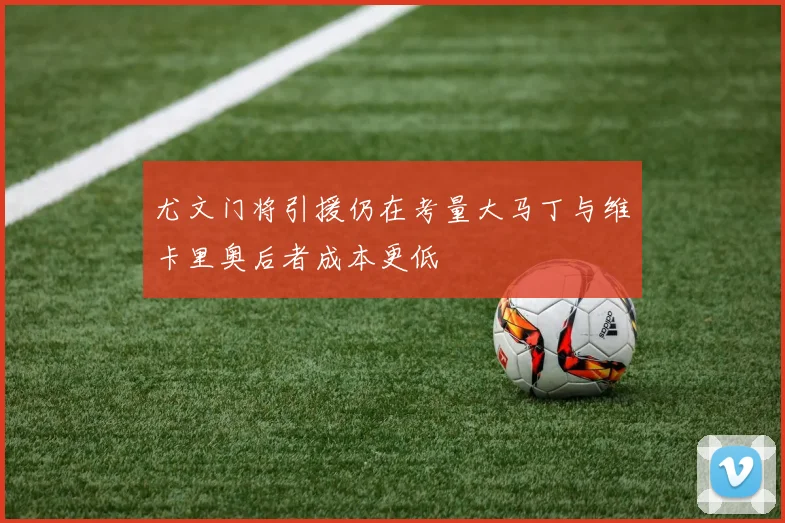 尤文门将引援仍在考量大马丁与维卡里奥后者成本更低